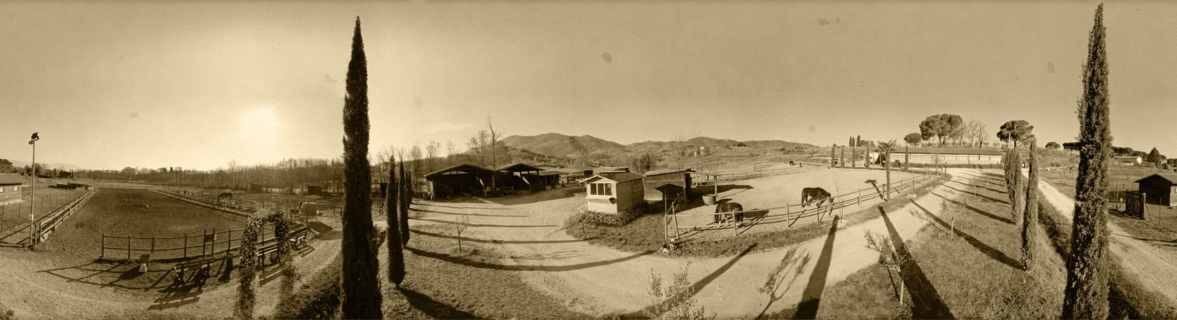 Panorama