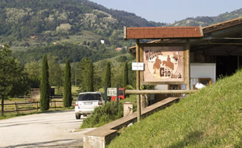 vieni al giò ranch di pistoia! maneggio, azienda agricola e feste tra cavalli e natura